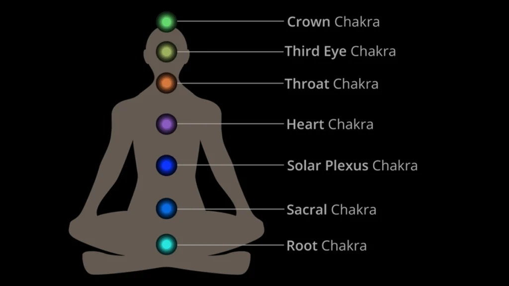 Solar Plexus Anatomy, Location & Function - Video & Lesson Transcript